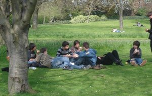 Casse crôute dans le parc