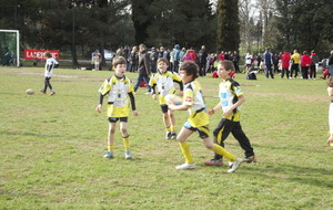 5151bae716614_DSCF0453.JPG