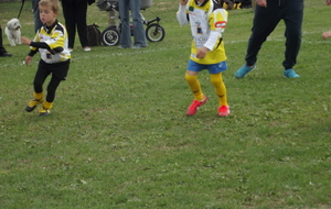 525b0975d6f7f_intermediaire217.JPG