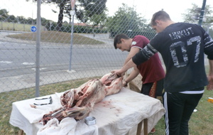 578bf40bdc1b4_P7030003.JPG
