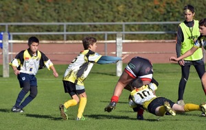 587d27cc5f9cf_DSC0489.JPG