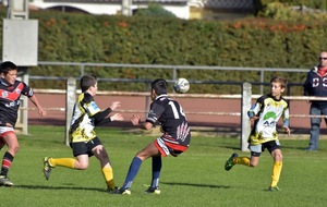 587d27ceabf1a_DSC0493.JPG