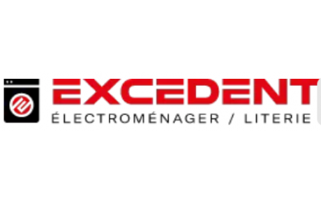 EXCEDENT ELECTROMENAGER